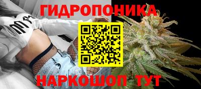 эйфоретик Владивосток