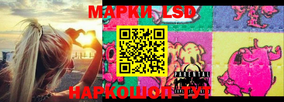 ЛСД экстази ecstasy Новозыбков