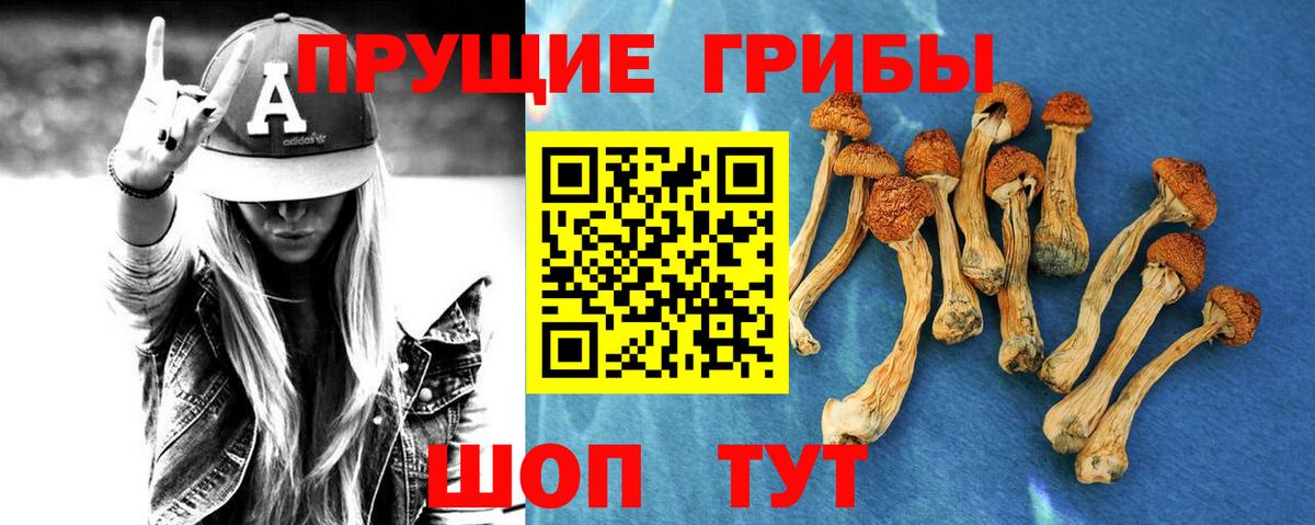 Галлюциногенные грибы GOLDEN TEACHER  Вход с VPN  Новозыбков 