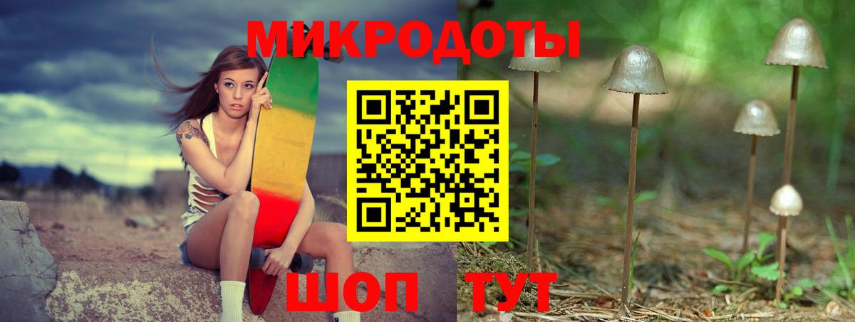 Псилоцибиновые грибы Cubensis Новозыбков