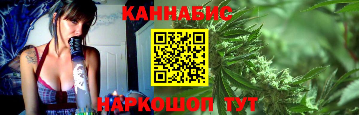Новозыбков  Конопля VHQ  Шишки марихуана SATIVA & INDICA  Канабис THC 21%  Вход с VPN 